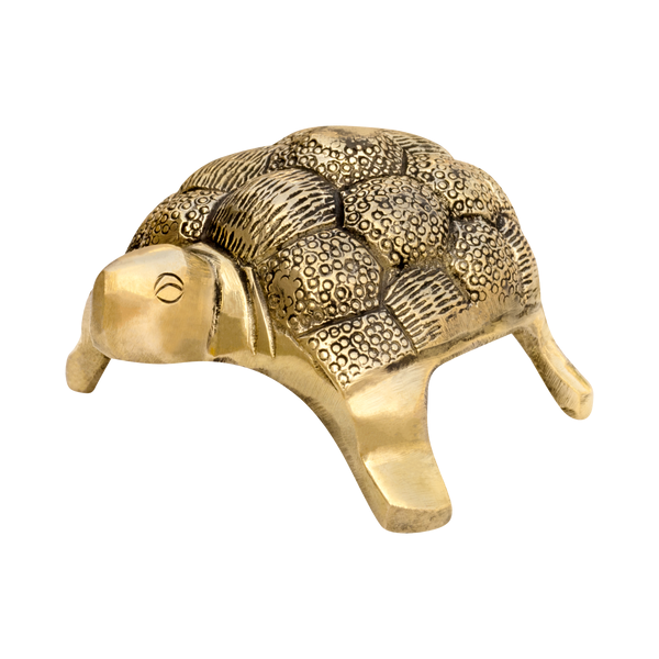 Golden Vastu Tortoise with textured shell