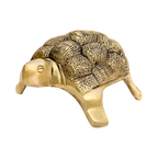 Golden Vastu Tortoise with textured shell