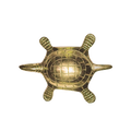 Golden turtle statue with round segmented shell