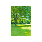 GREEN-LUSH portrait painting poster showing leafy green trees, sunlit lawn, and blue sky