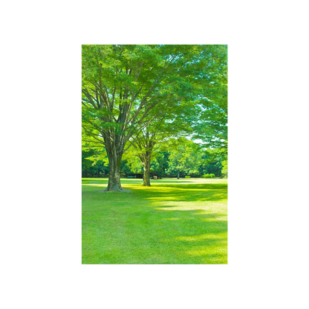 GREEN-LUSH portrait painting poster showing leafy green trees, sunlit lawn, and blue sky