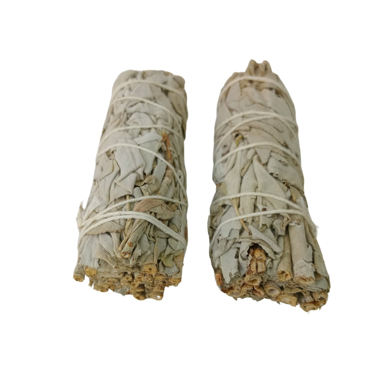 California White Sage - For Deep Space Cleansing, Aura Purification & Positive Energy