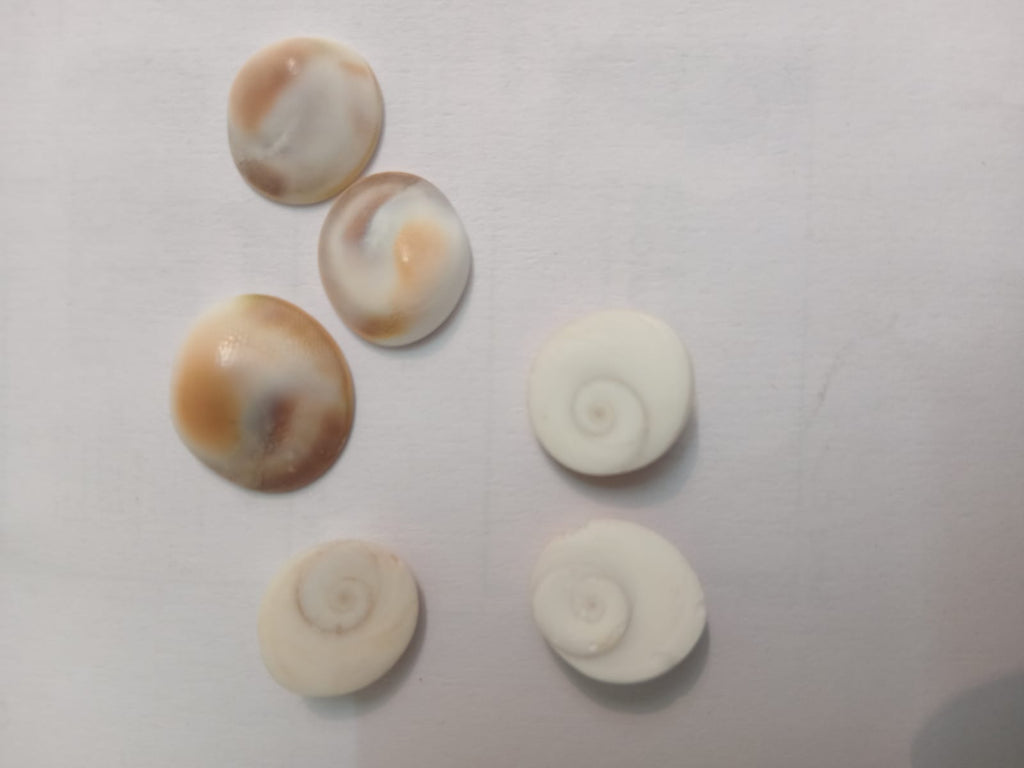 Gomati Chakra