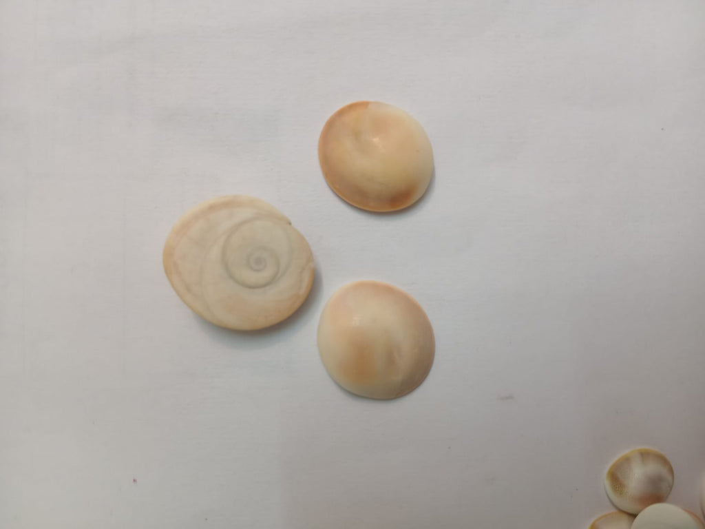 Gomati Chakra