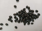 Chirmi Seeds / Gjunja Seeds