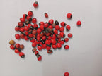 Chirmi Seeds / Gjunja Seeds