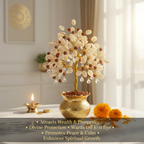 Gomati Chakra Rudraksha Tree - Benefits