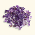 Loose Amethyst tumbled stones and purple crystal chips arranged on an ivory studio background