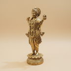 Dhanvantri Ji statue left three-quarter view