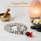 vaijanti-mala-premier-look